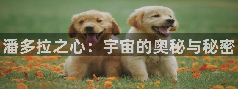 unsleep漫画在漫蛙：潘多拉之心：宇宙的奥秘与秘密