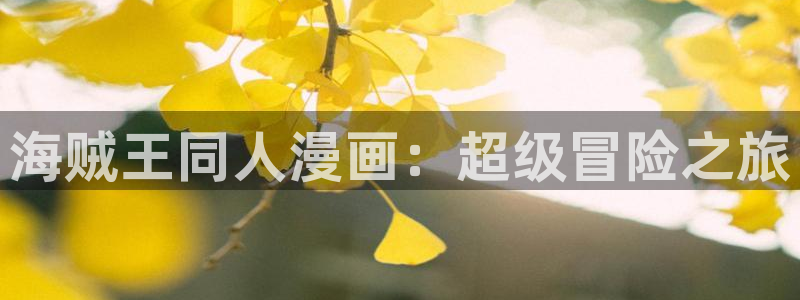 漫蛙漫画正版下载安装：海贼王同人漫画：超级冒险之旅