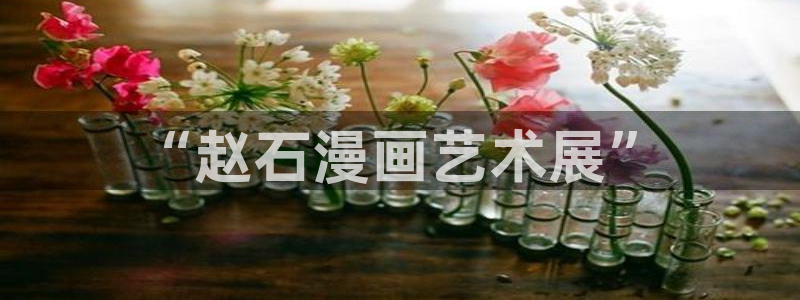 漫蛙manwa防走失站豆瓣：“赵石漫画艺术展”